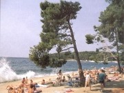 Lussino